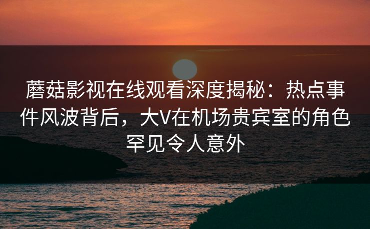 蘑菇影视在线观看深度揭秘：热点事件风波背后，大V在机场贵宾室的角色罕见令人意外
