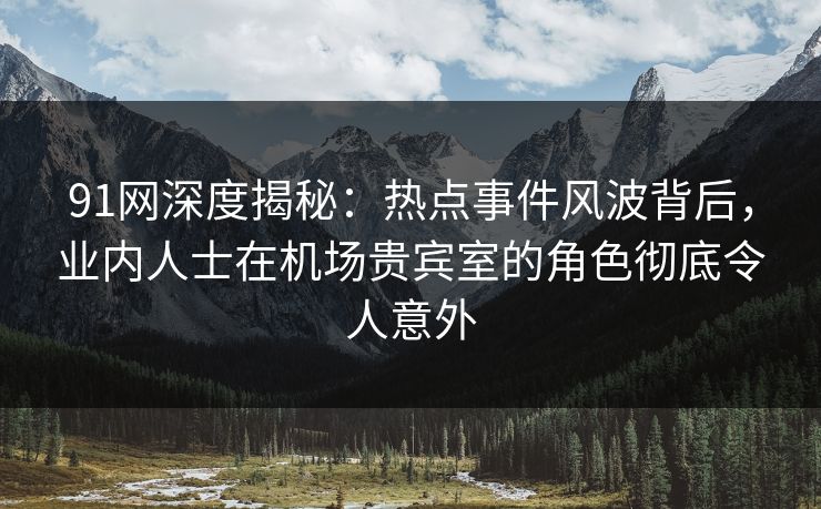 91网深度揭秘：热点事件风波背后，业内人士在机场贵宾室的角色彻底令人意外