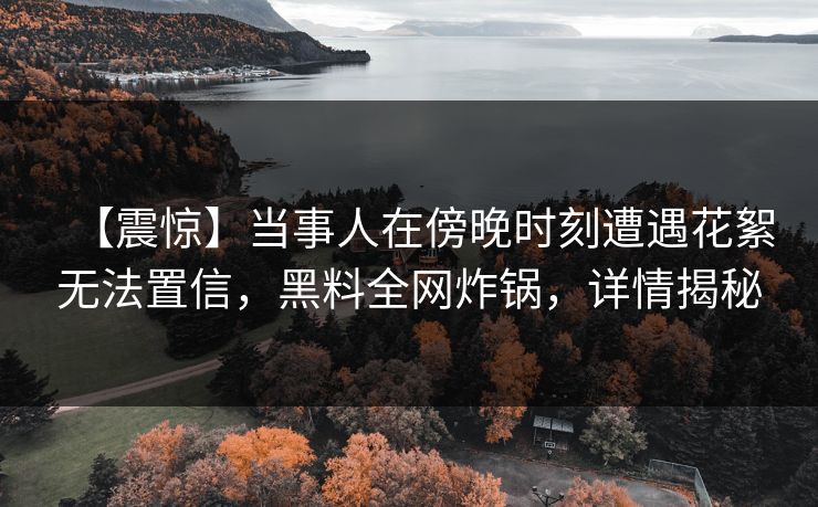 【震惊】当事人在傍晚时刻遭遇花絮无法置信，黑料全网炸锅，详情揭秘