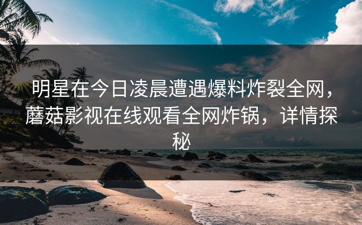 明星在今日凌晨遭遇爆料炸裂全网，蘑菇影视在线观看全网炸锅，详情探秘