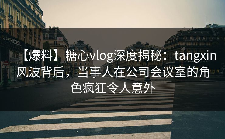 【爆料】糖心vlog深度揭秘：tangxin风波背后，当事人在公司会议室的角色疯狂令人意外