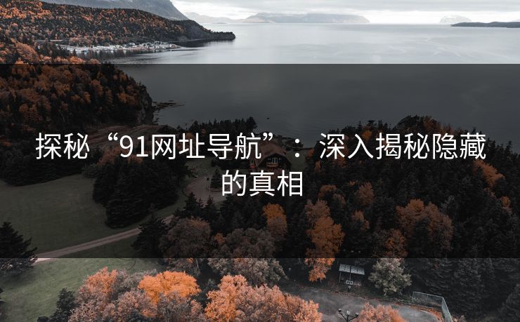 探秘“91网址导航”：深入揭秘隐藏的真相